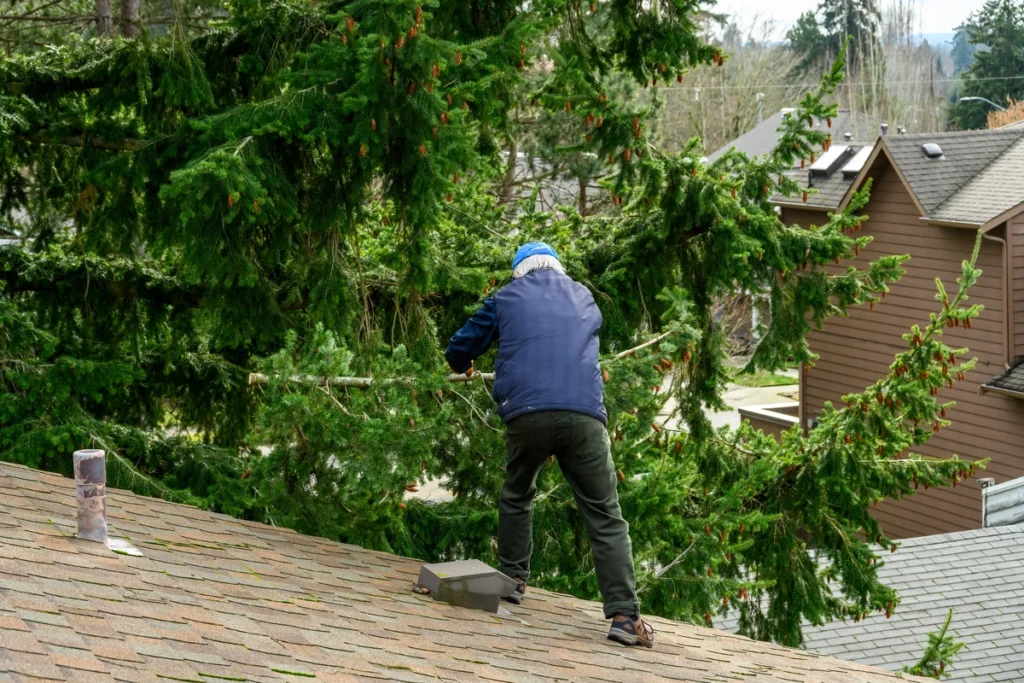 homeowner performs roof maintenance by trimming trees around roof