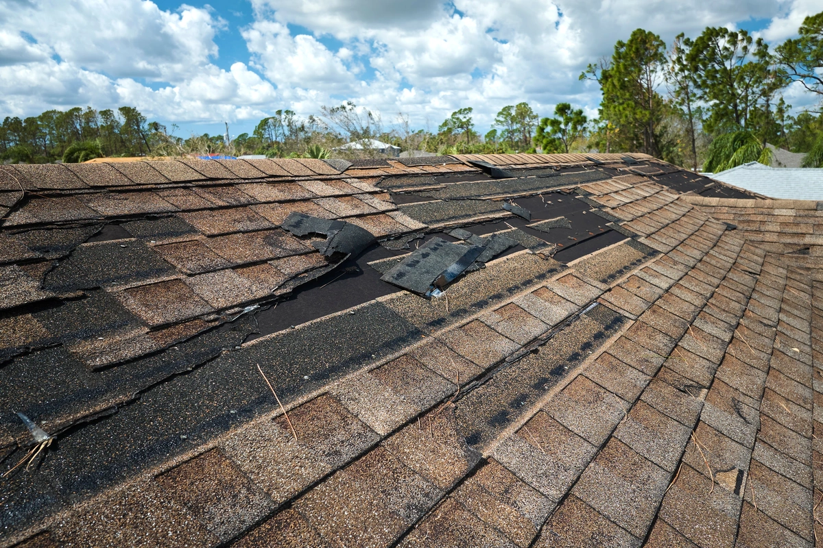missing shingles after a Florida hurricane in Jacksonville needing roof repair