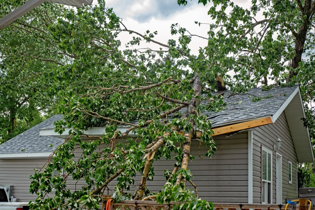 home experiences hurricane roof damage with tree fall and debris
