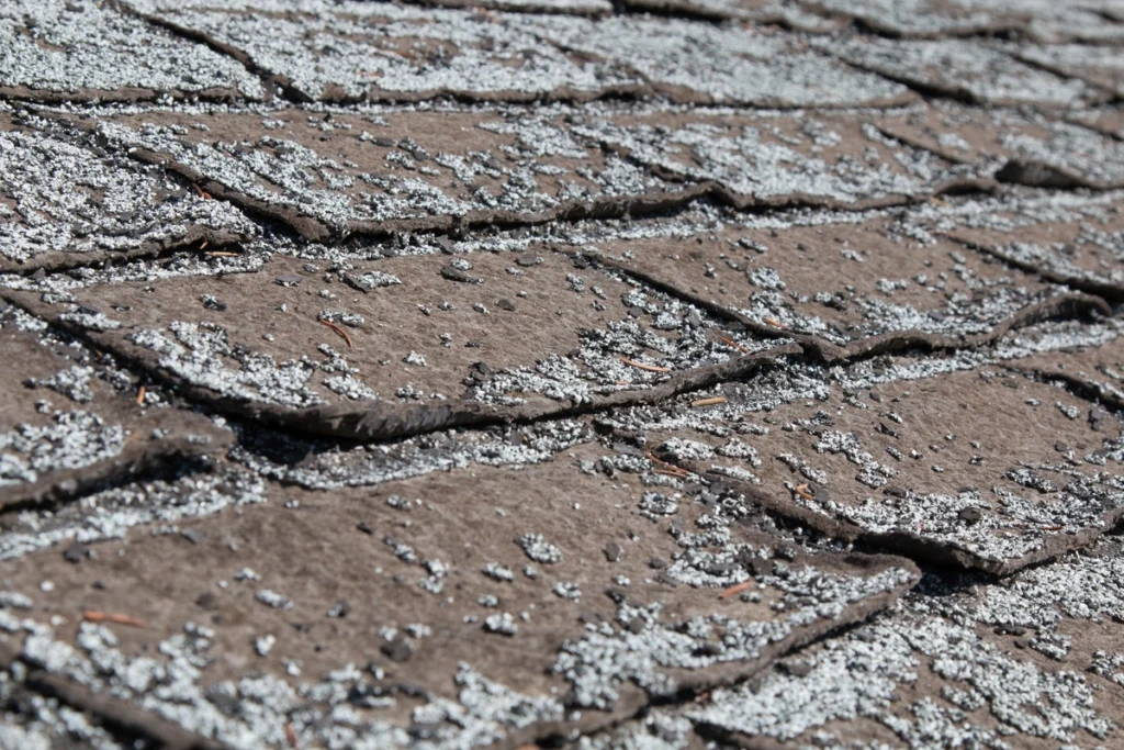 close up of roof shingle granule loss