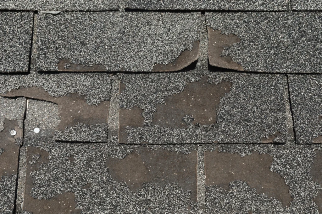 close up of roof shingles experiencing granule loss