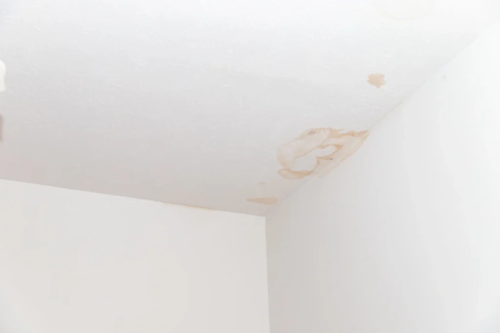 staining on white home ceiling due to roof leak