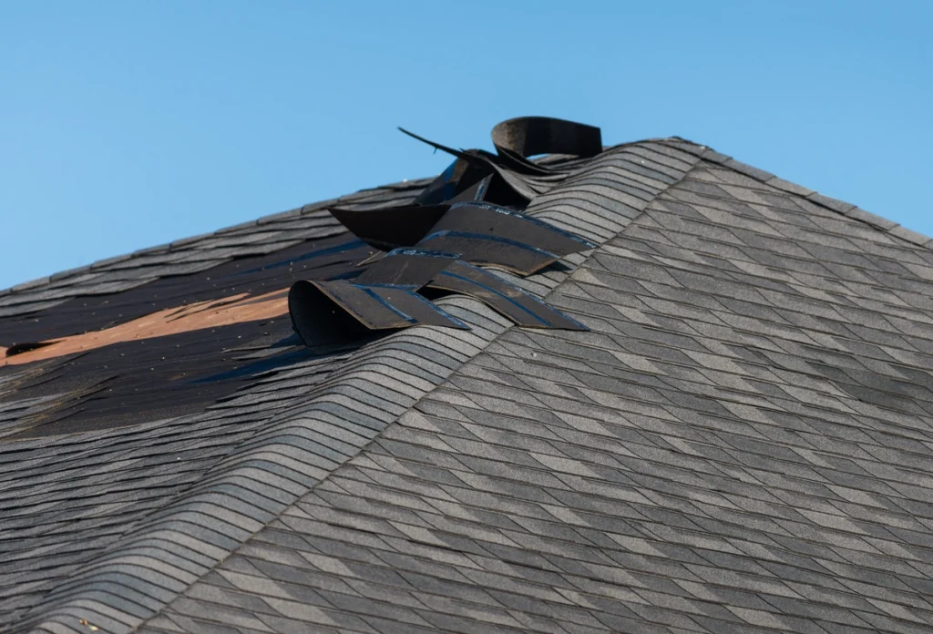 close up of wind damage on asphalt shingle roof
