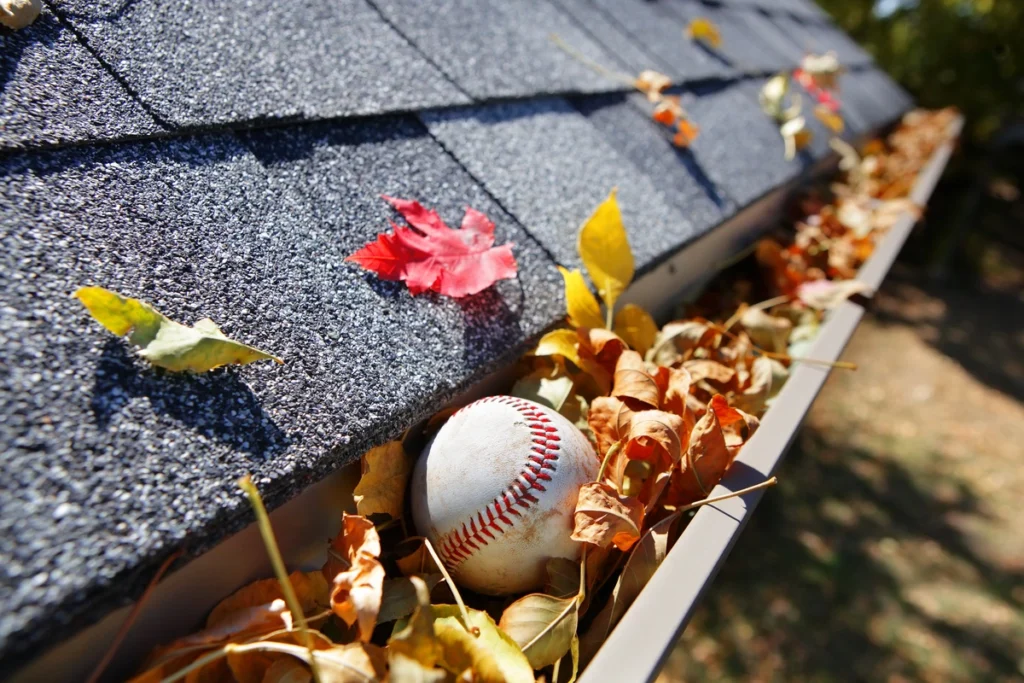 A baseball and leaves clogging gutters