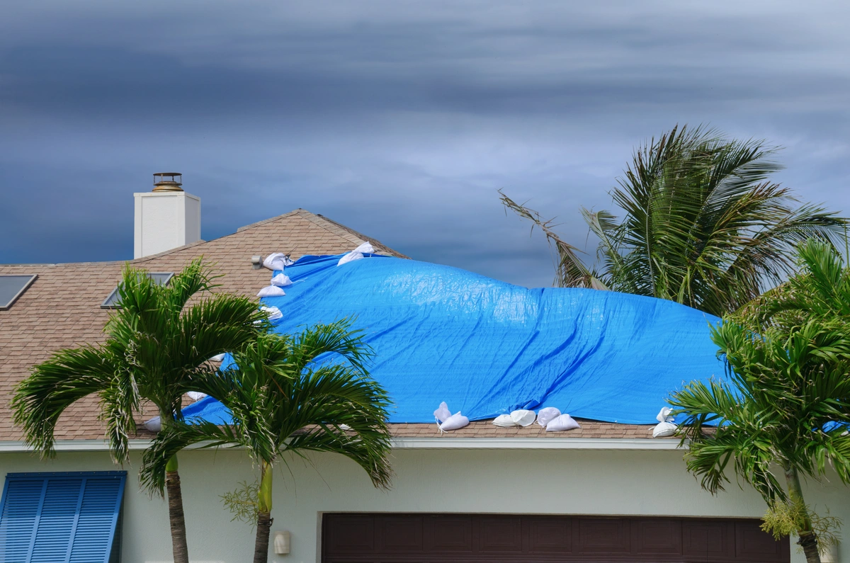 Tarped roof during a storm with palm trees