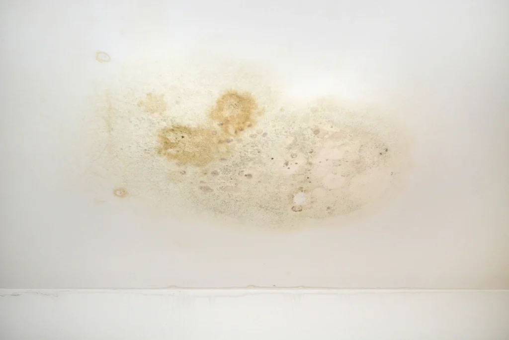 moldy looking ceiling stain
