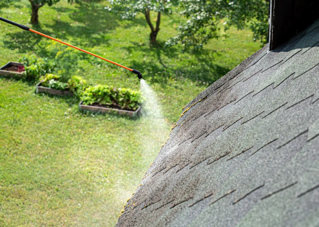 roof coating being applied to a shingled roof