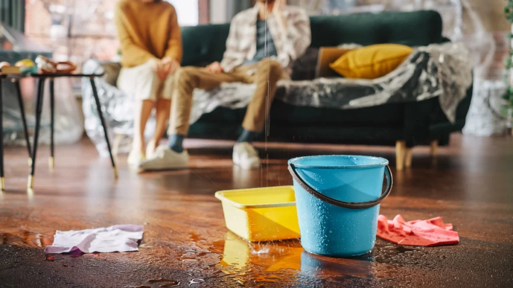 mop bucket on wet wood floor 