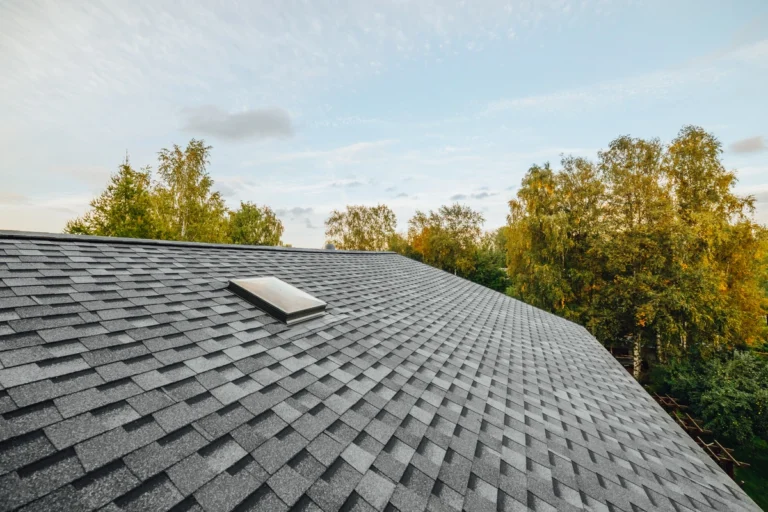 shingle and trees